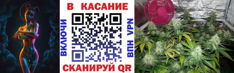 Названия наркотиков Черняховск Конопля  ОМГ ОМГ tor  A PVP  ГАШИШ  Меф 
