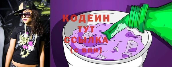 стаф Бородино