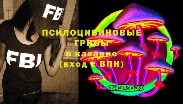 ешки Бронницы