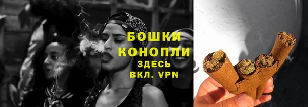 стаф Бородино