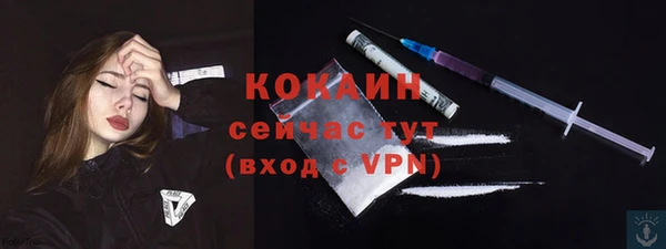 ешки Бронницы