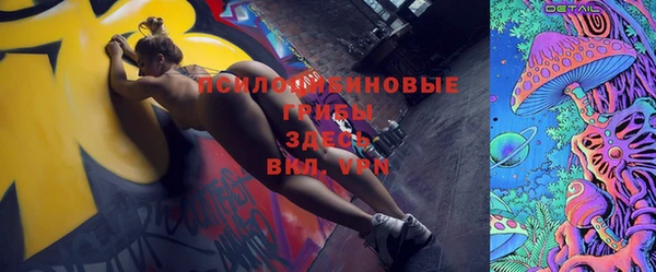 стаф Бородино