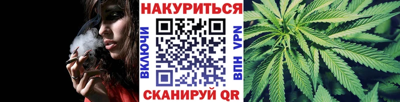Канабис сатива  цены   Черняховск 